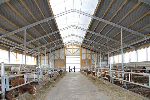 Lubratec® Lichtfirst - Illuminazione naturale e ventilazione della stalla per il benessere degli animali.