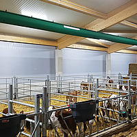 Ventilazione a vento chiuso nel recinto dei vitelli