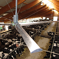 Primo piano di un ventilatore a soffitto sospeso in una stalla per mucche in più parti 
