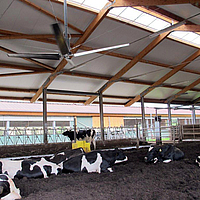 Ventilatore a soffitto per il raffreddamento ad alta efficienza energetica del fienile