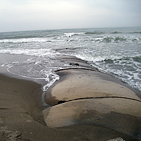 Groynes e frangiflutti sulla spiaggia per la protezione della costa