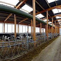 Stalla della salute dei vitelli con tubi di ventilazione Lubratec