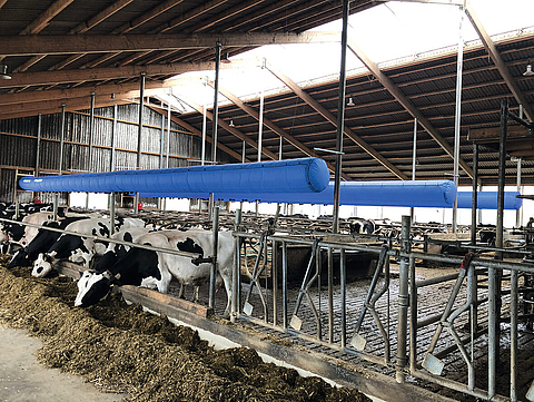 Tre tubi di raffreddamento Lubratec come ventilazione della stalla di raffreddamento in una stalla per mucche