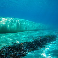 Vista sottomarina di pennelli e frangiflutti
