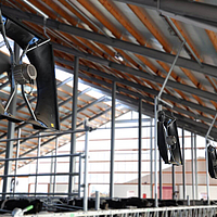 Primo piano di un ventilatore assiale Lubratec installato in una stalla per mucche