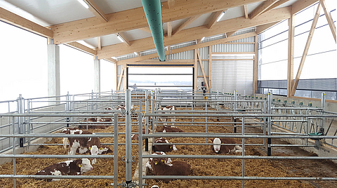 Stalla sanitaria per vitelli realizzata con il concetto Lubratec per un allevamento sano dei vitelli