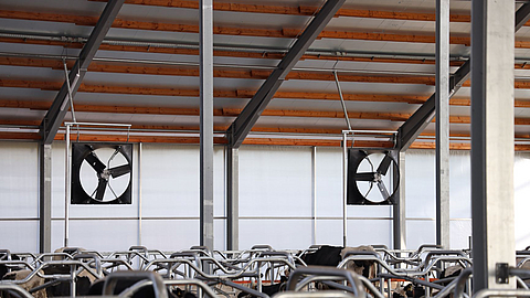 Due ventilatori assiali Lubratec integrati in una stalla per mucche