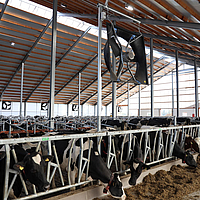 Vista in lontananza di diversi ventilatori assiali incorporati in una stalla per mucche