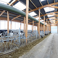 Recinto sanitario per vitelli con tubi di ventilazione, tende e cancelli in tessuto