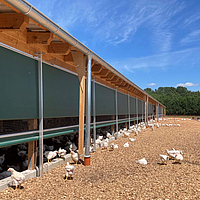 Ventilazione avvolgente come transizione dal giardino d'inverno allo sbocco libero per i polli da carne biologici
