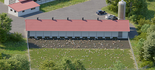 Strato separatore Lubratec per condizioni di terreno ideali nell'allevamento di pollame Condizioni ottimali del terreno grazie allo strato separatore Lubratec negli allevamenti avicoli