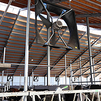 Vista dal basso di un ventilatore assiale incorporato sopra il recinto della stalla delle mucche