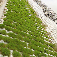 Tappeto di cemento rinverdito sull'argine di un fiume