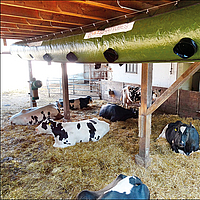 Lubratec Tube Cool montato su travi di supporto per la ventilazione di raffreddamento della stalla delle mucche